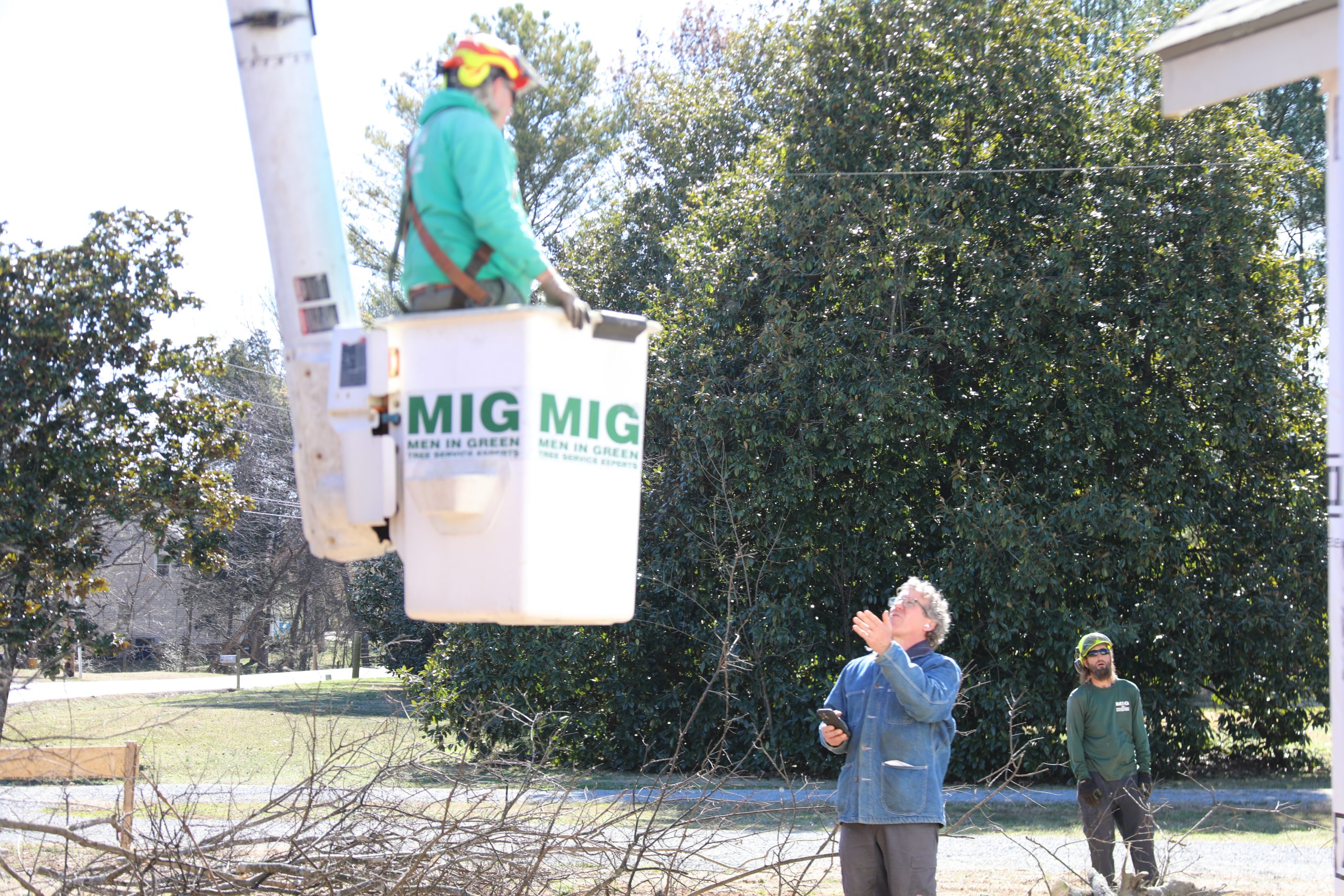 Professional Tree Trimming