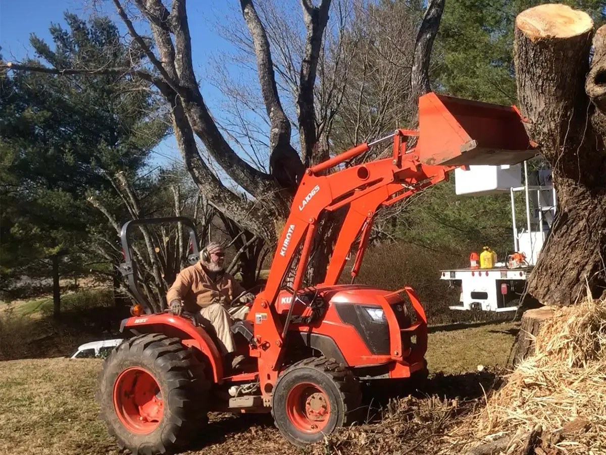 Professional Tree & Land Services